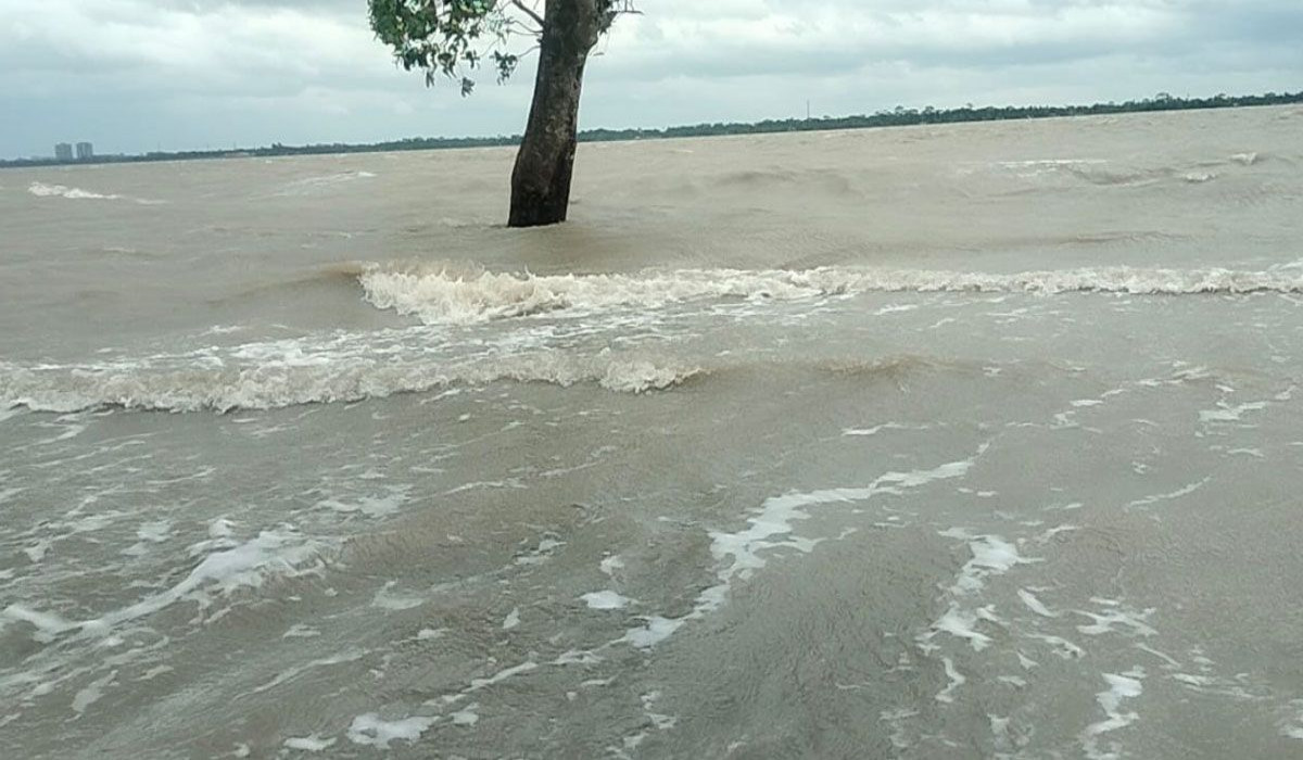 জোয়ারে প্লাবিত সুন্দরবন, বন্যপ্রাণির প্রাণহানির শঙ্কা
