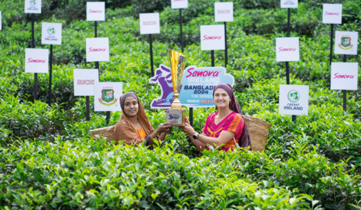 চা বাগানে সবুজের মাঝে ট্রফি উন্মোচন